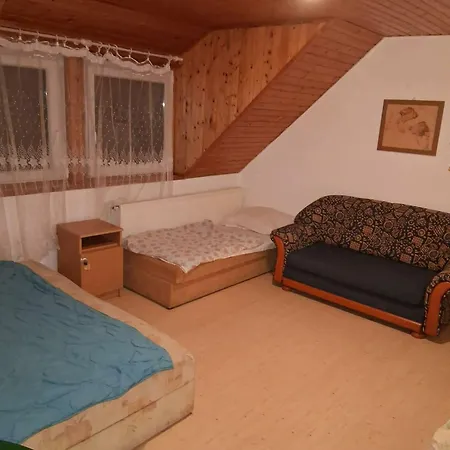 Badacsony-balaton Ifjusagi Szallas Апартаменты *